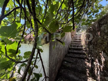Terreno para Venda em Teixeira e Teixeiró
