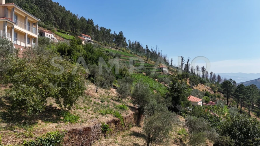 Terreno para Venda em Teixeira e Teixeiró Foto 8