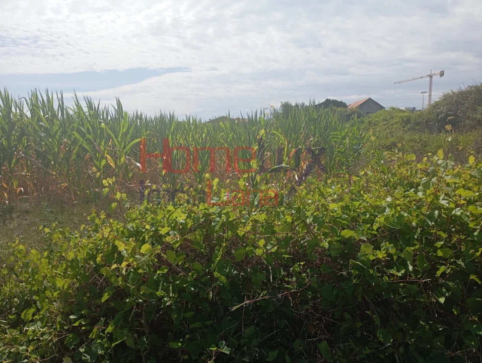 Terreno para Venda em Castêlo da Maia Foto 2