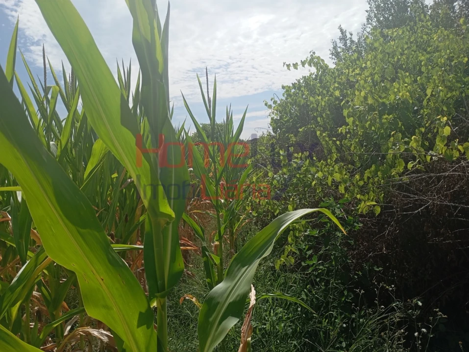 Terreno para Venda em Castêlo da Maia Foto 3