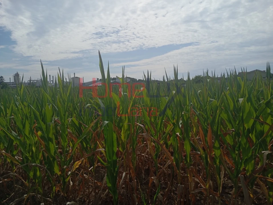 Terreno para Venda em Castêlo da Maia Foto 6