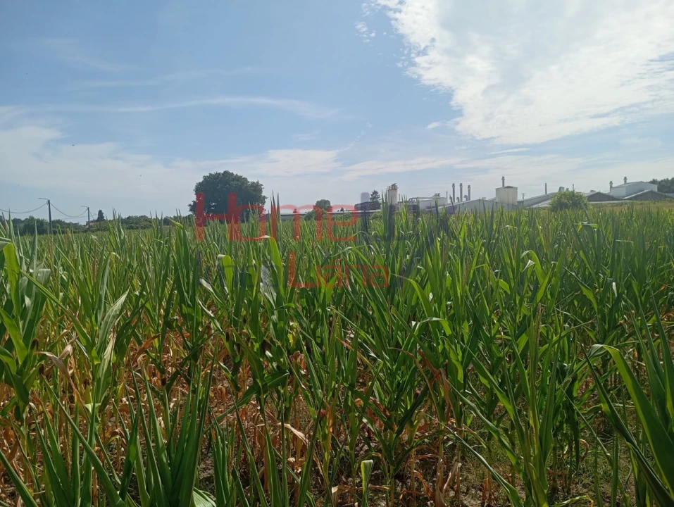 Terreno para Venda em Castêlo da Maia Foto 7