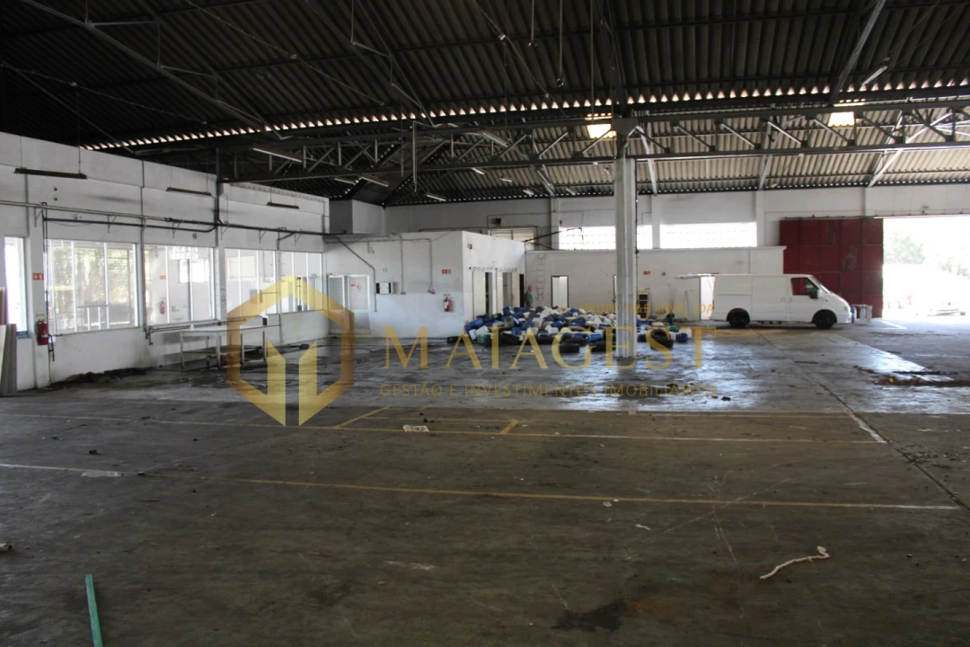 Armazém para Venda em Anta e Guetim Foto 18