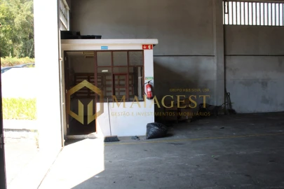Armazém para Venda em Anta e Guetim