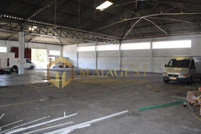 Armazém para Venda em Anta e Guetim