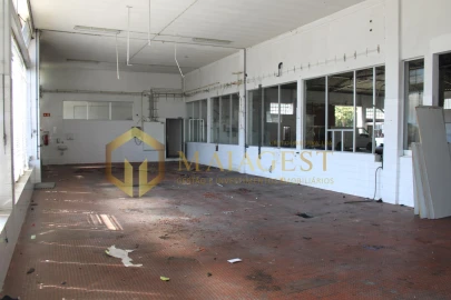 Armazém para Venda em Anta e Guetim