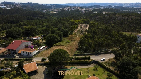 Terreno para Venda em Nogueira do Cravo e Pindelo