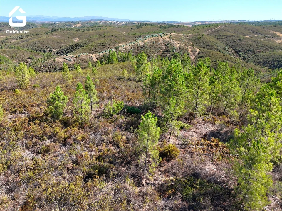 Terreno Agricola ou Rústico para Venda em Benquerenças Foto 6