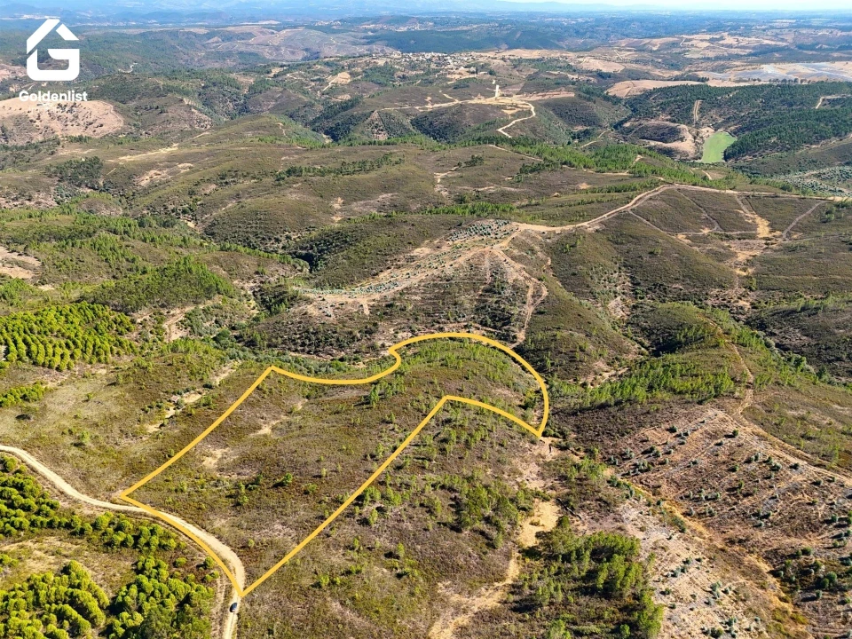 Terreno Agricola ou Rústico para Venda em Benquerenças Foto 1