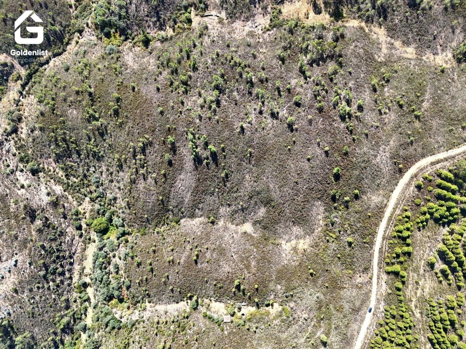 Terreno Agricola ou Rústico para Venda em Benquerenças Foto 9