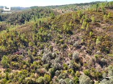 Terreno Agricola ou Rústico para Venda em Benquerenças