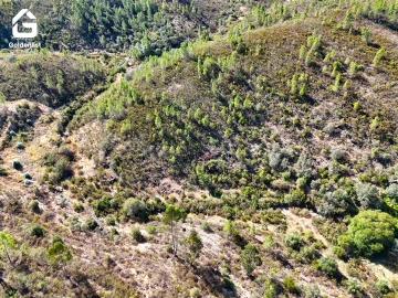 Terreno Agricola ou Rústico para Venda em Benquerenças