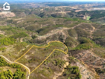 Terreno Agricola ou Rústico para Venda em Benquerenças