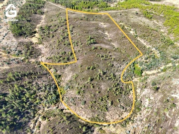Terreno Agricola ou Rústico para Venda em Benquerenças
