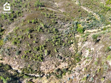 Terreno Agricola ou Rústico para Venda em Benquerenças