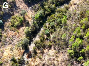 Terreno Agricola ou Rústico para Venda em Benquerenças