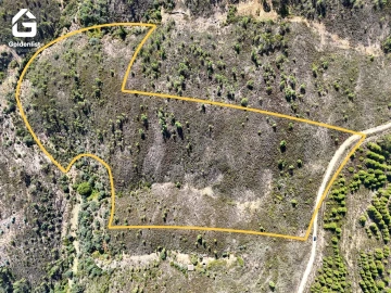 Terreno Agricola ou Rústico para Venda em Benquerenças