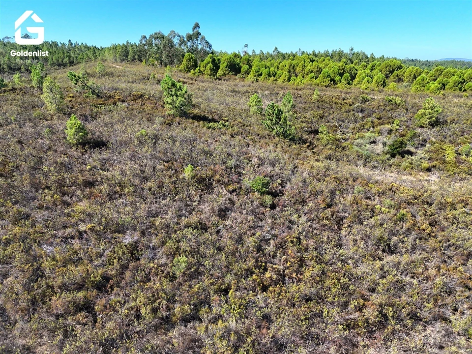 Terreno Agricola ou Rústico para Venda em Benquerenças Foto 8