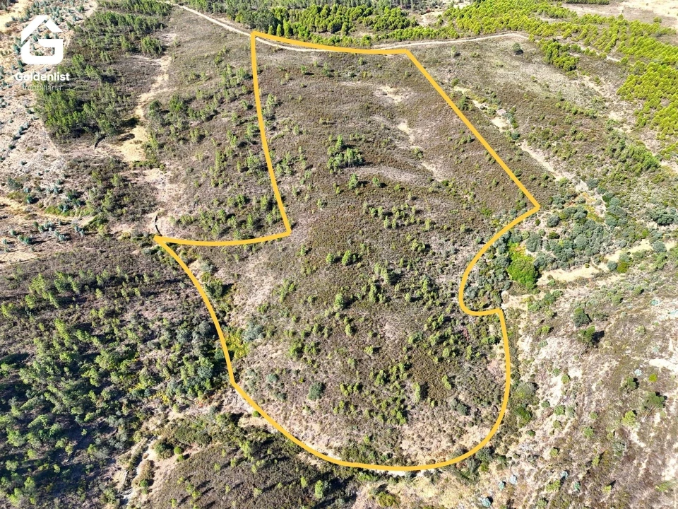 Terreno Agricola ou Rústico para Venda em Benquerenças Foto 5