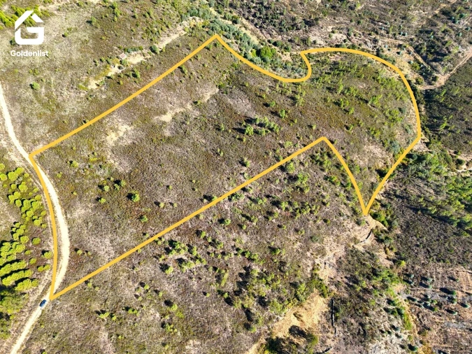 Terreno Agricola ou Rústico para Venda em Benquerenças Foto 2