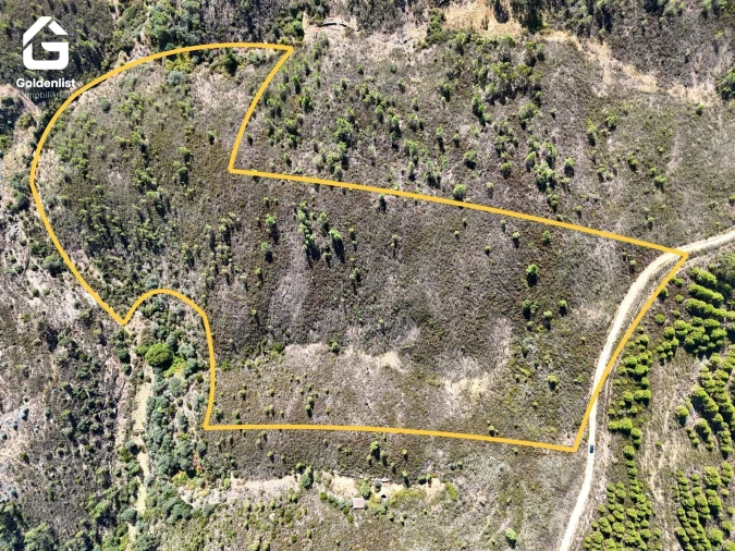 Terreno Agricola ou Rústico para Venda em Benquerenças Foto 12
