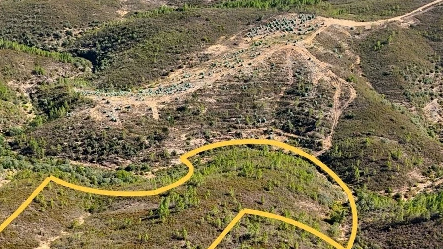 Terreno Agricola ou Rústico para Venda em Benquerenças