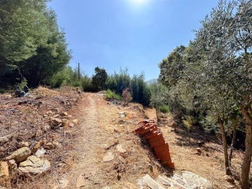 Terreno Misto para Venda em Souto da Casa