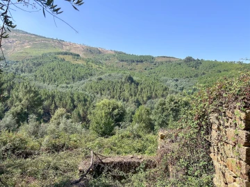 Terreno Misto para Venda em Souto da Casa