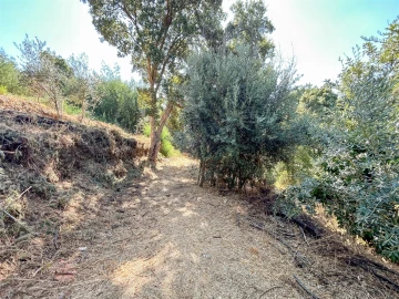 Terreno Misto para Venda em Souto da Casa