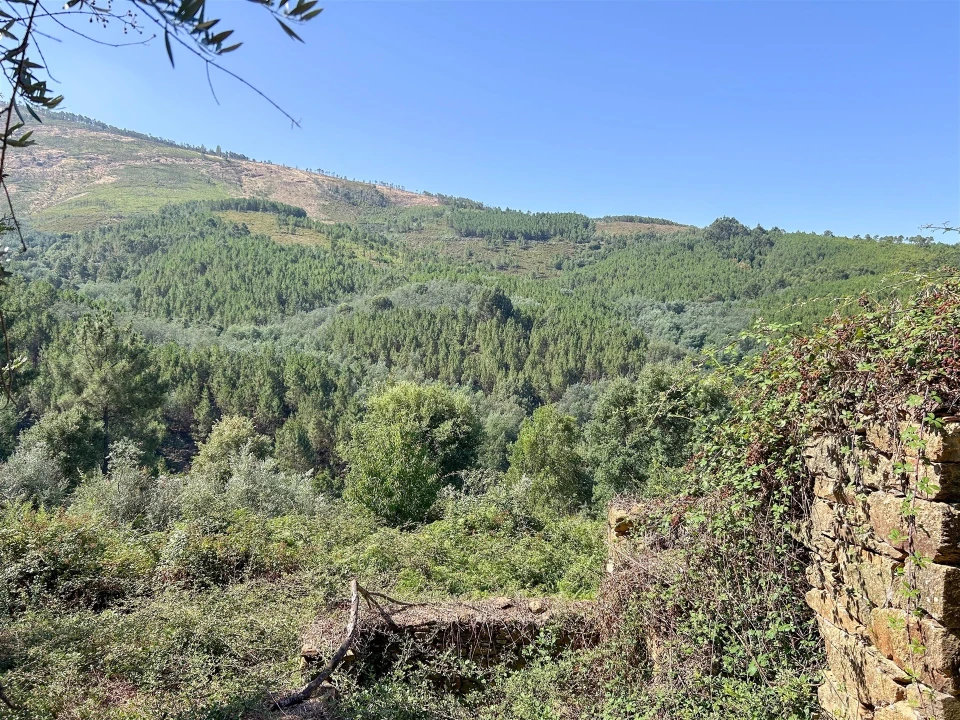 Terreno Misto para Venda em Souto da Casa Foto 35