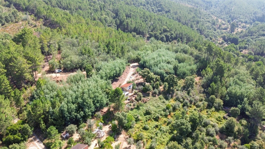 Terreno Misto para Venda em Souto da Casa Foto 62