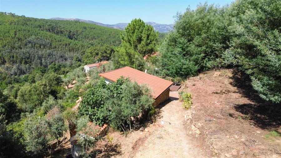 Terreno Misto para Venda em Souto da Casa Foto 61
