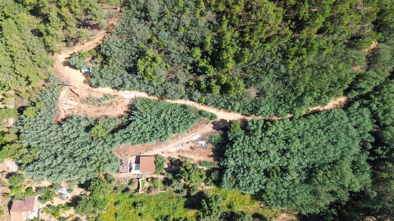 Terreno Misto para Venda em Souto da Casa Foto 50
