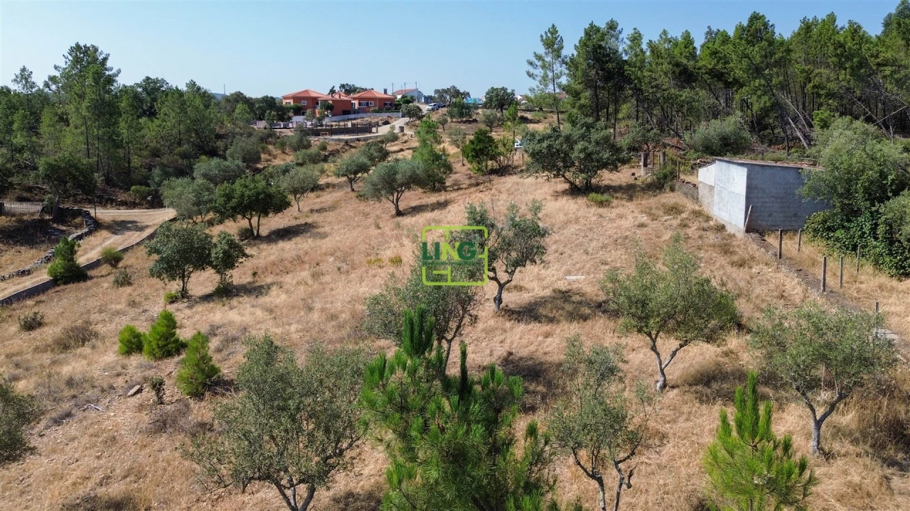 Terreno para Venda em Benquerenças Foto 22