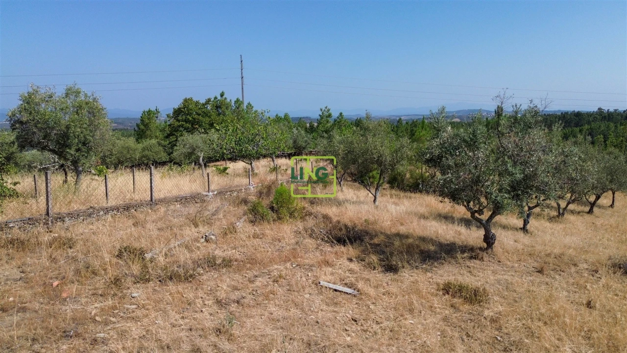 Terreno para Venda em Benquerenças Foto 27
