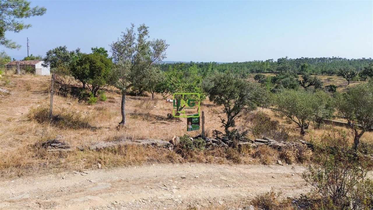 Terreno para Venda em Benquerenças Foto 15
