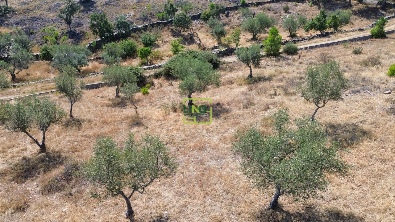 Terreno para Venda em Benquerenças Foto 21