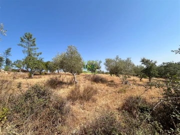 Terreno para Venda em Benquerenças