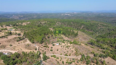 Terreno para Venda em Benquerenças