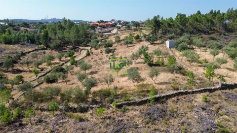 Terreno para Venda em Benquerenças