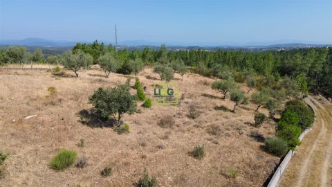 Terreno para Venda em Benquerenças