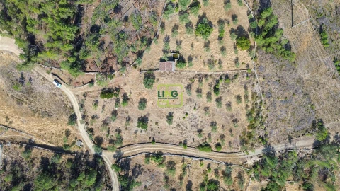 Terreno para Venda em Benquerenças