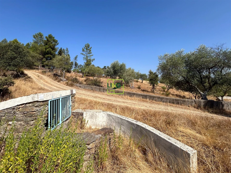 Terreno para Venda em Benquerenças Foto 39