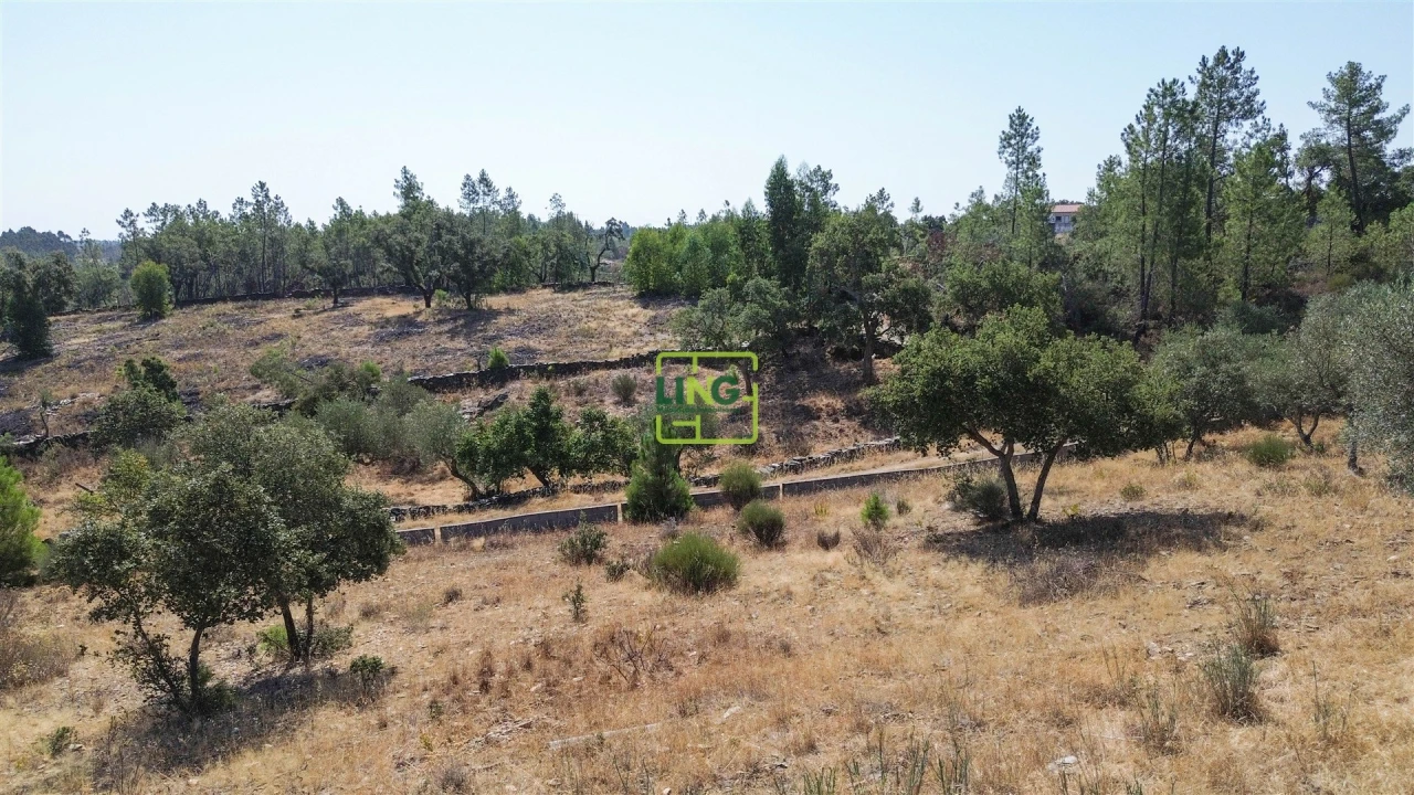 Terreno para Venda em Benquerenças Foto 25