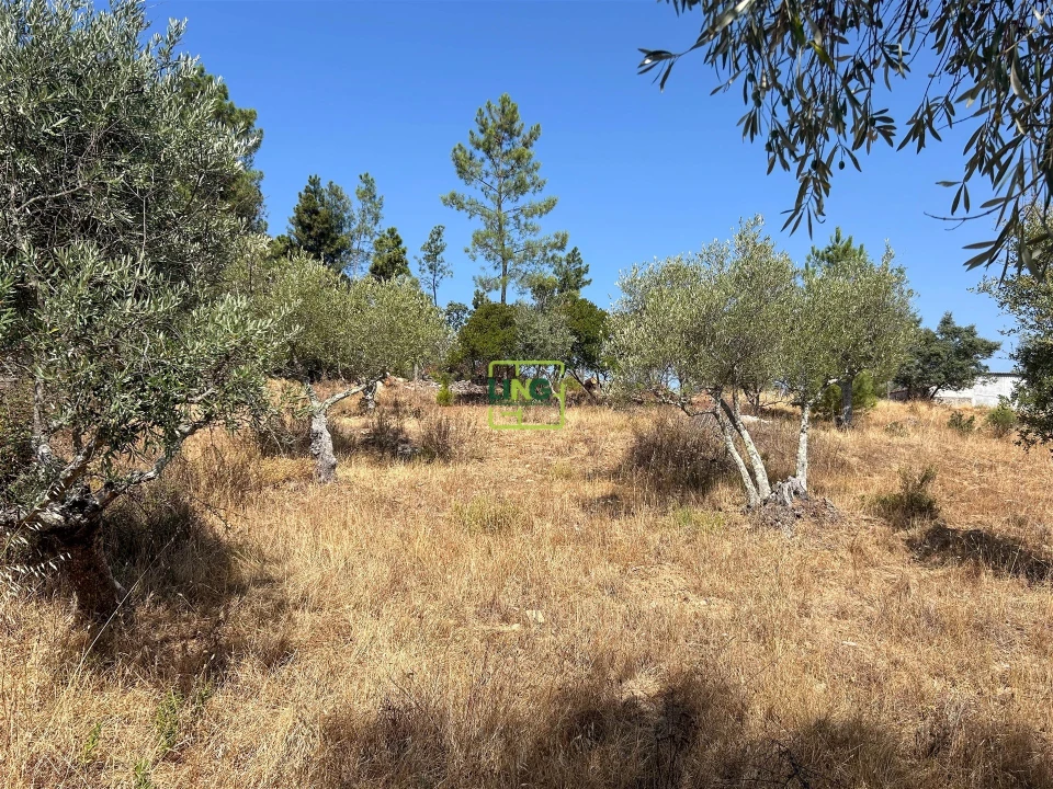 Terreno para Venda em Benquerenças Foto 42