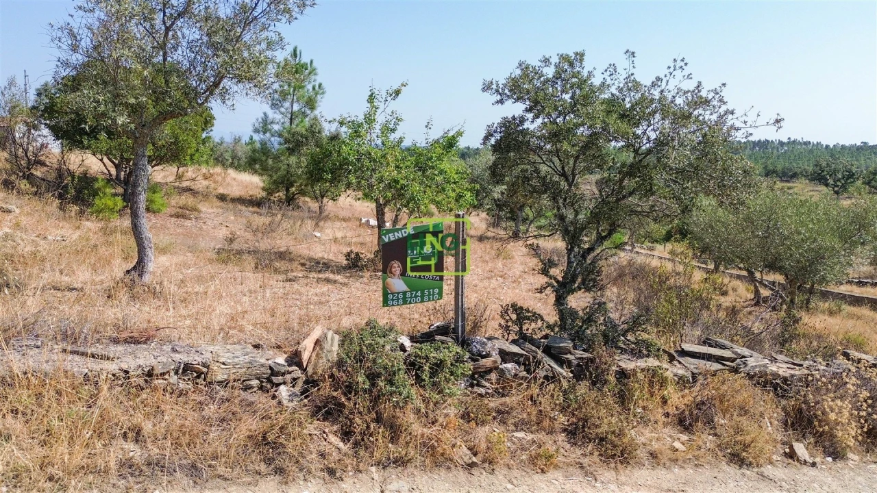 Terreno para Venda em Benquerenças Foto 16
