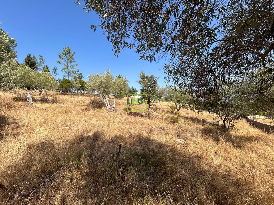 Terreno para Venda em Benquerenças Foto 40