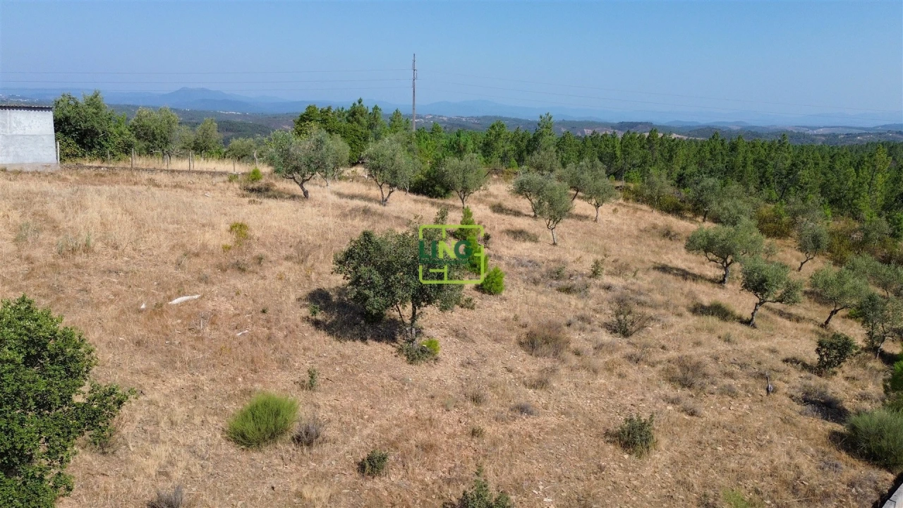 Terreno para Venda em Benquerenças Foto 17