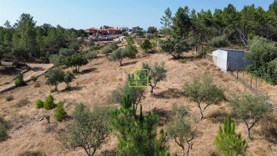 Terreno para Venda em Benquerenças Foto 22