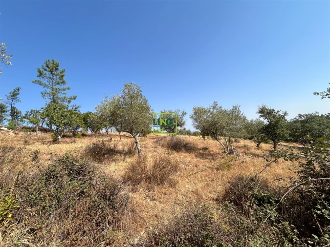 Terreno para Venda em Benquerenças Foto 43